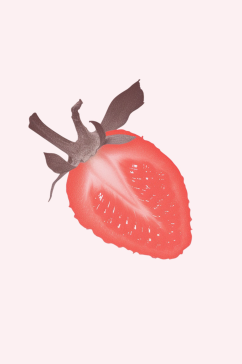 定位果蔬草莓素材