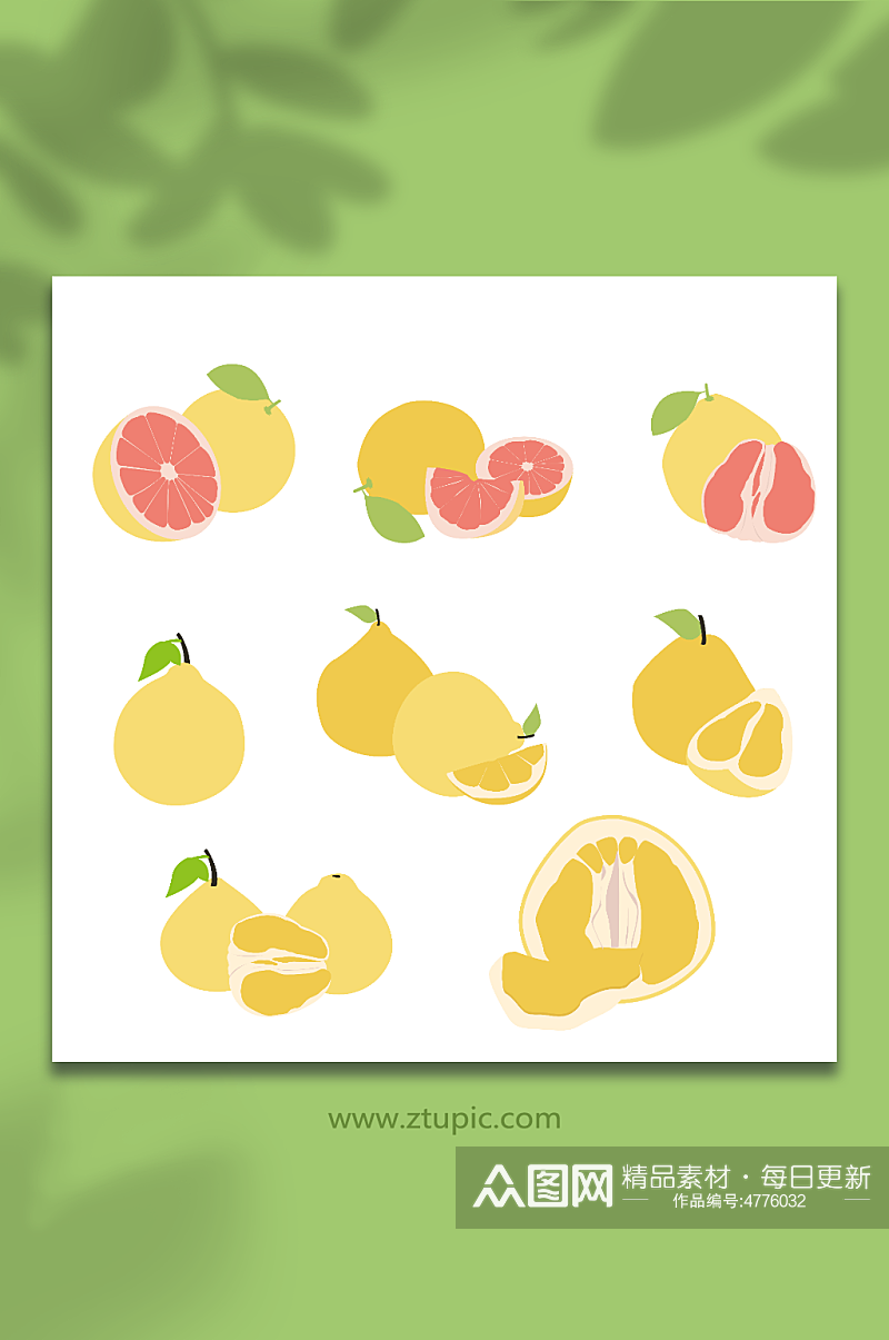扁平冬季柚子水果元素插画素材