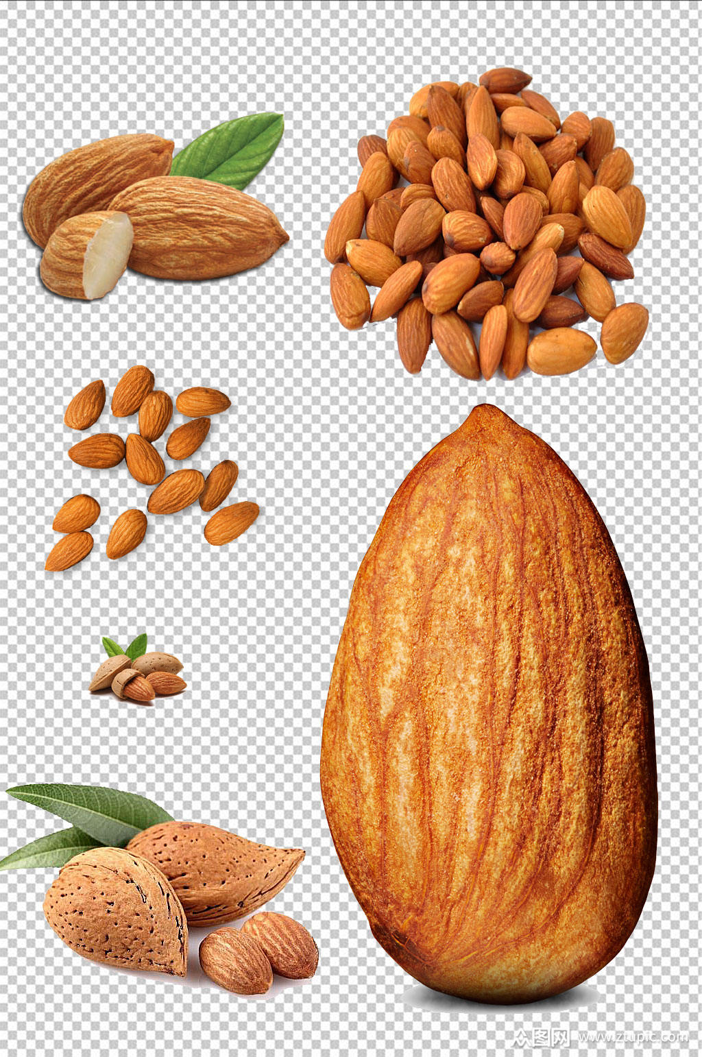 散装杏仁免扣素材设计