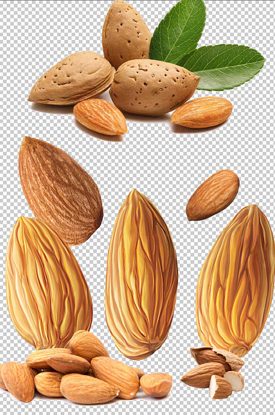 美味杏仁坚果免扣素材设计-众图网