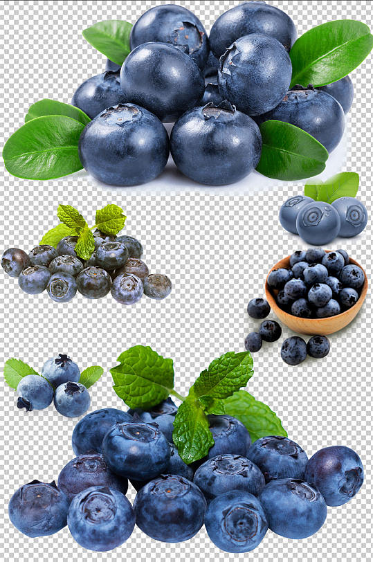 蓝莓免抠素材设计
