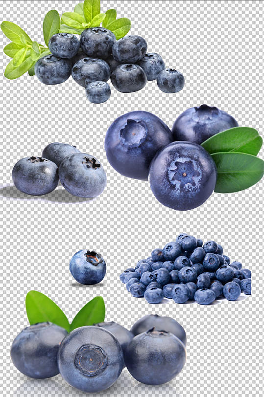 精品蓝莓水果免扣素材