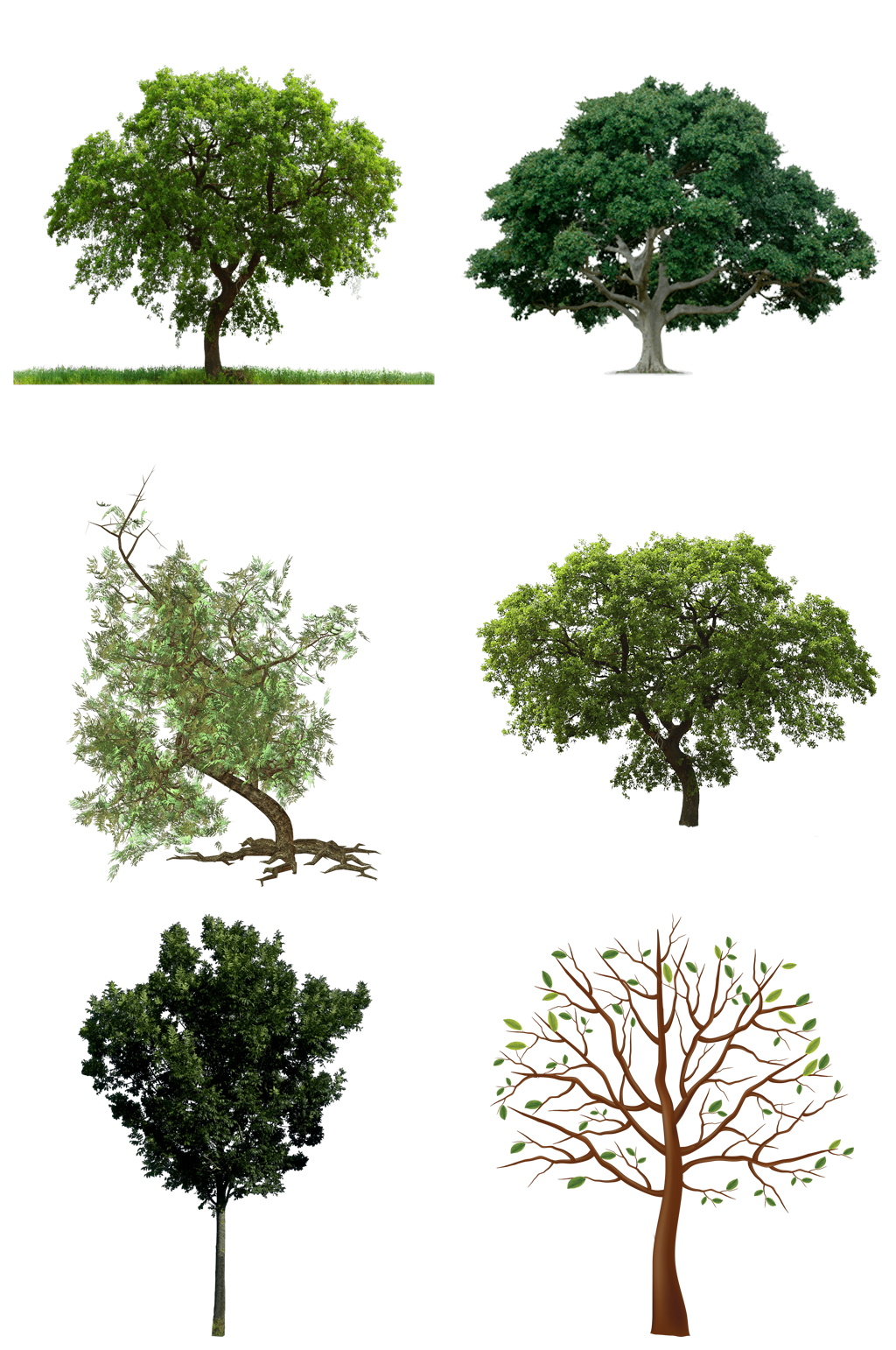 多款大树免扣元素设计素材