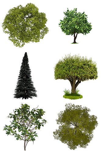 精品繁茂树叶树木元素设计