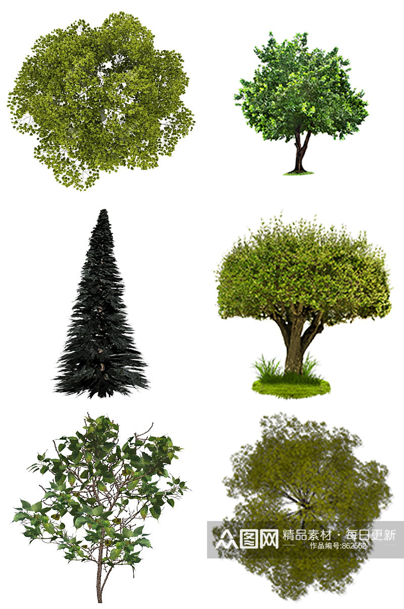 精品繁茂树叶树木元素设计素材