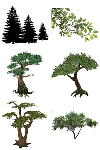 多款松树设计素材