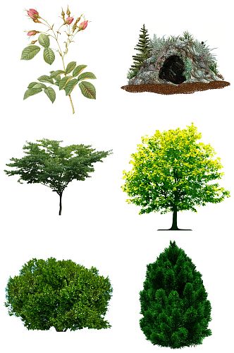 多款景观树木元素设计