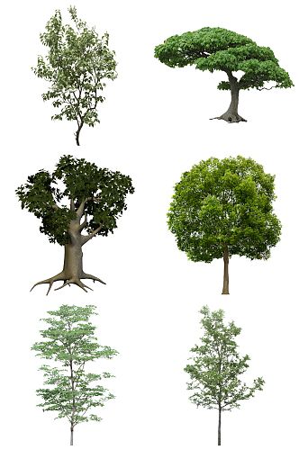 多款树木免扣元素设计