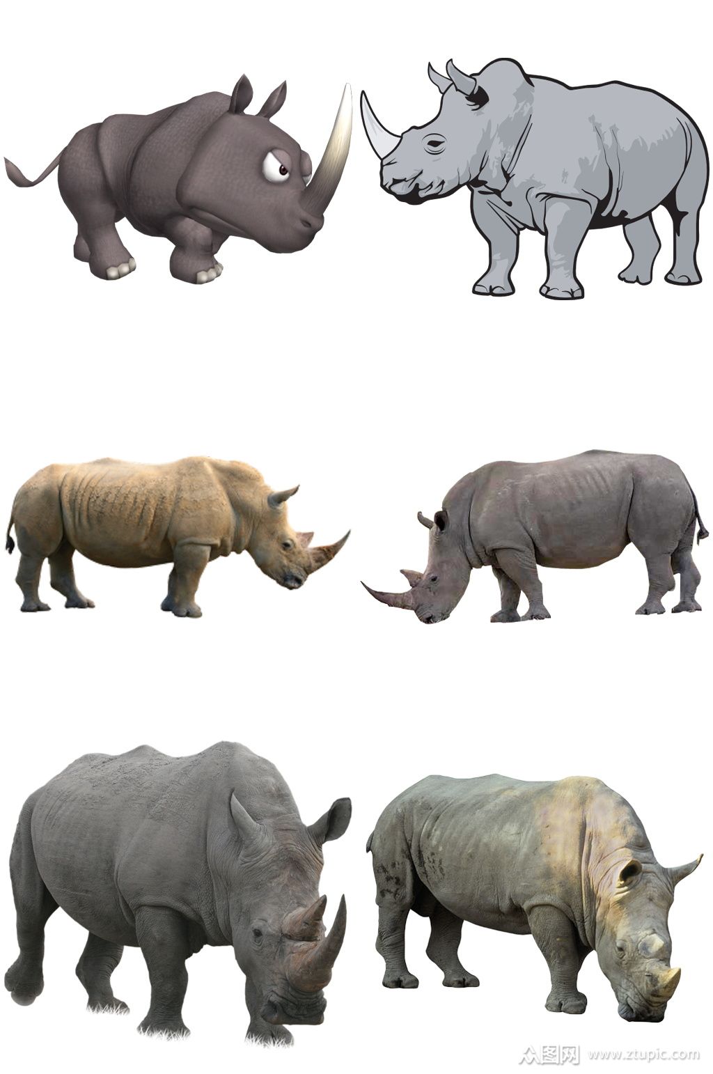 彩色精美动物犀牛创意设计元素