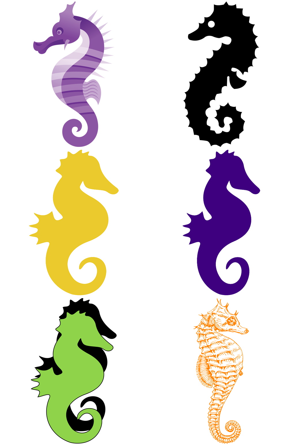 >彩色精美动物海马创意设计元素素材