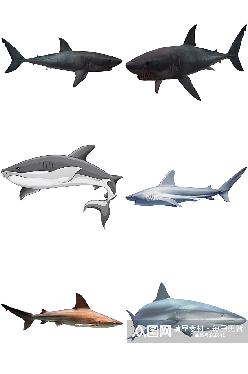 彩色精美动物鲨鱼创意设计元素素材素材