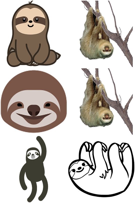 彩色精美动物树懒创意设计元素素材