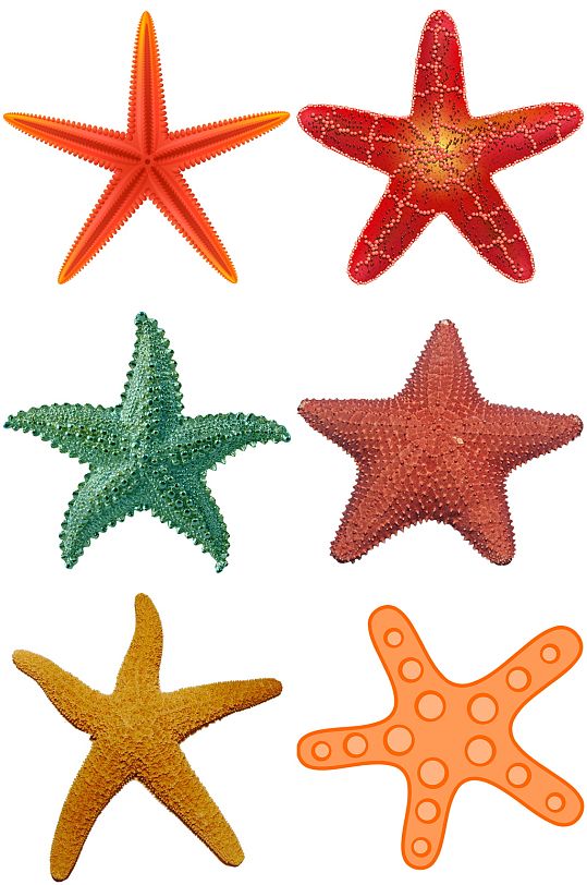 彩色精美动物海星创意设计元素素材