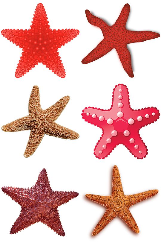 彩色精美动物海星创意设计元素素材