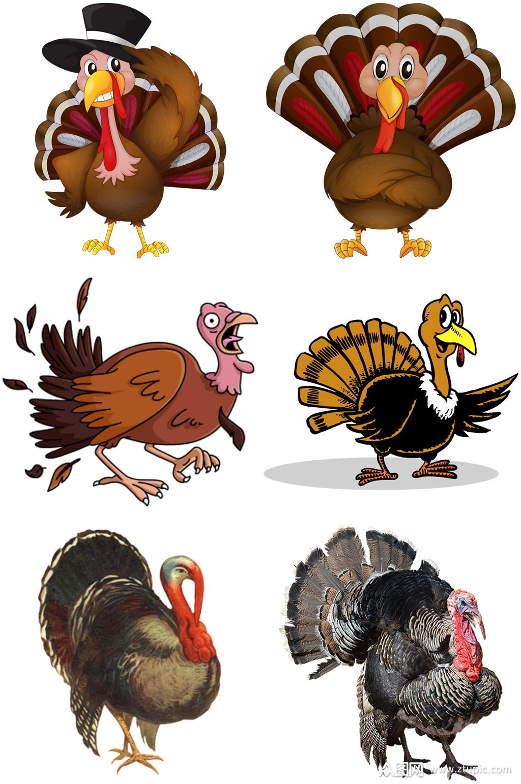 彩色精美动物火鸡创意设计元素素材