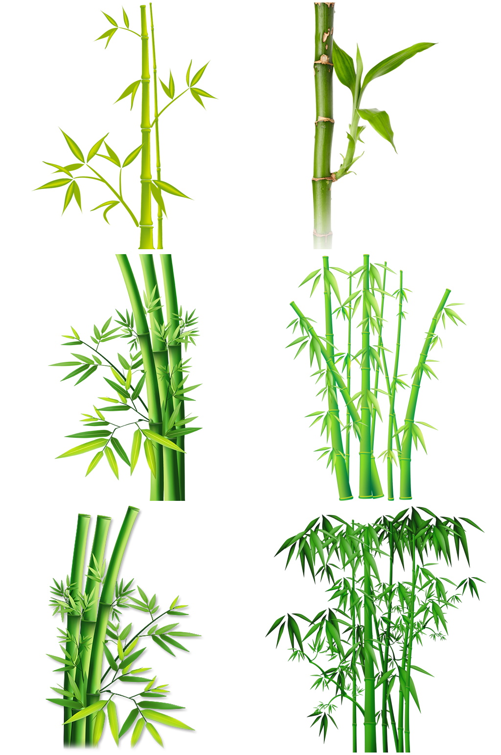 精美竹子创意设计素材素材