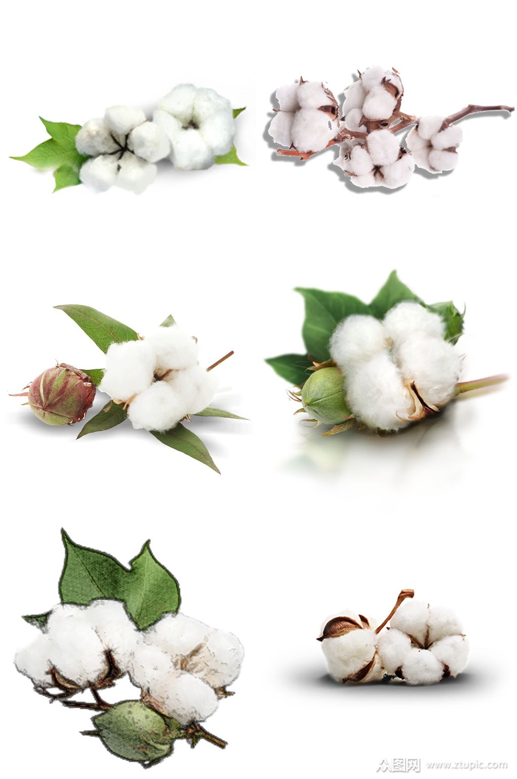 精美棉花创意设计元素免扣素材