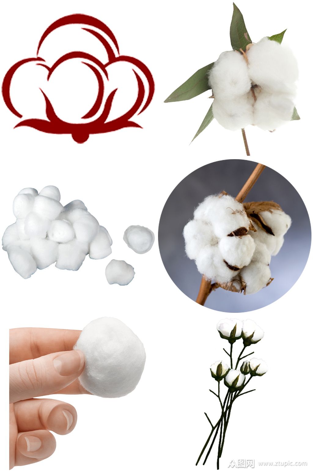 棉花创意设计元素免扣