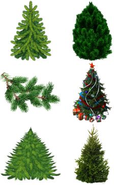 精品松树圣诞树免扣素材设计