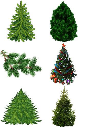 精品松树圣诞树免扣素材设计