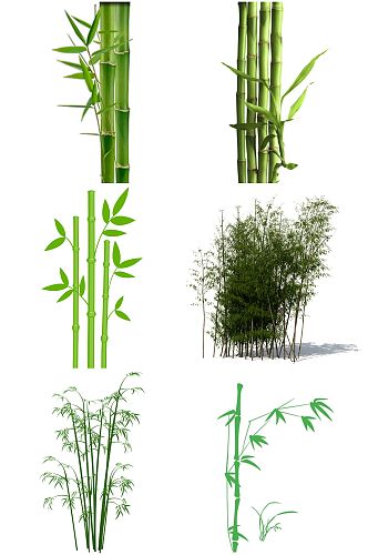 竹子创意设计素材免扣元素