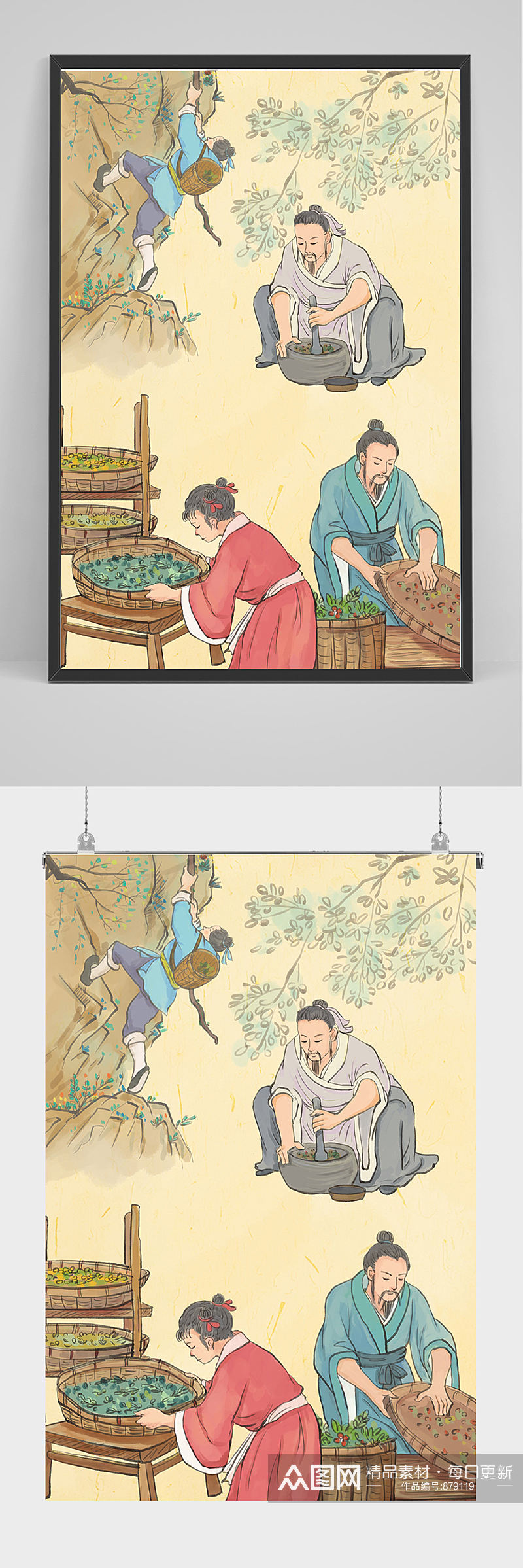 精品中国风中草药流程插画设计素材