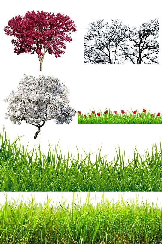 精品树木花草免抠素材设计