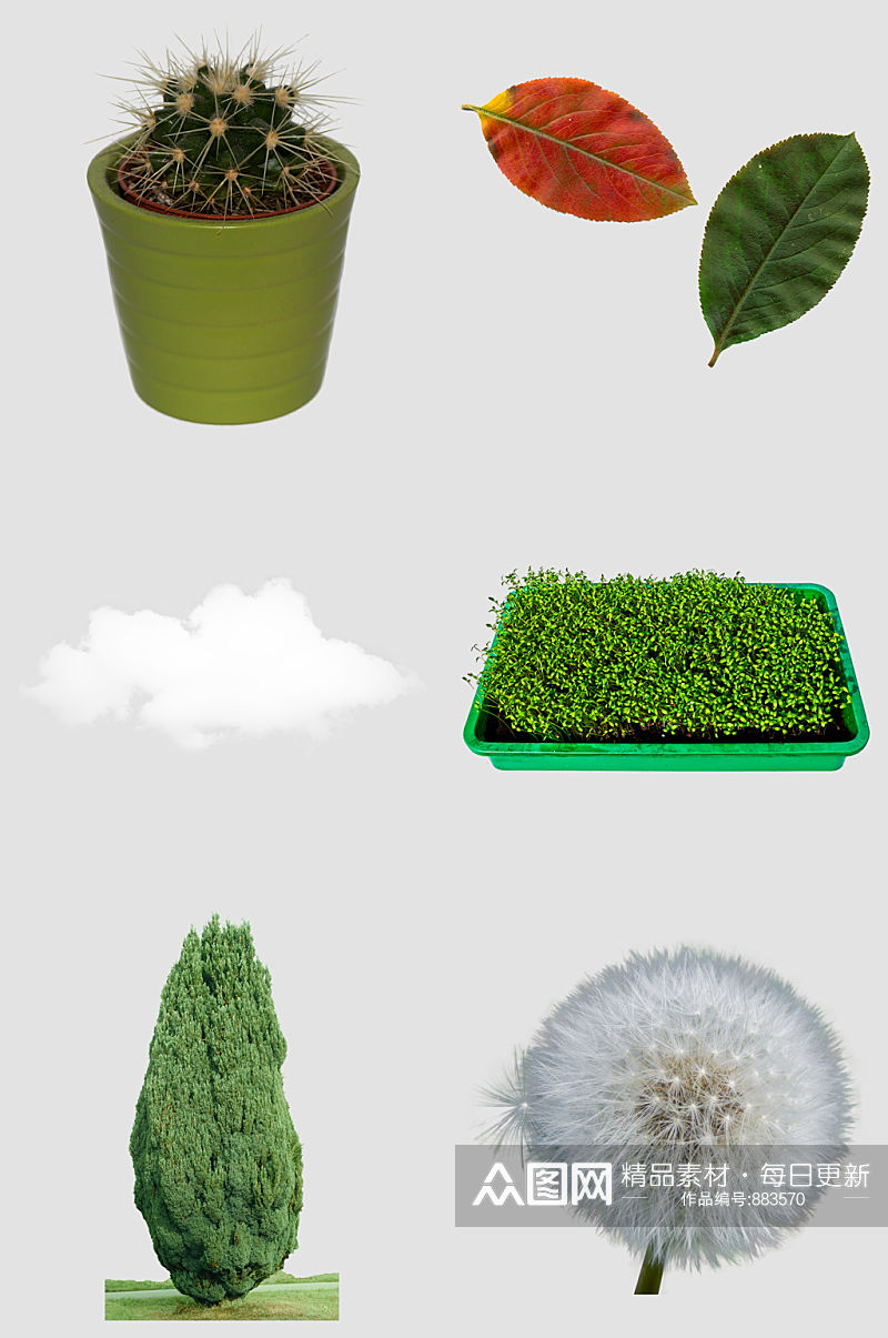 蒲公英白云盆栽树叶松树免抠素材设计素材