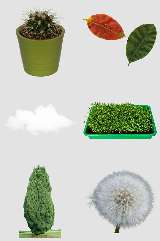 蒲公英白云盆栽树叶松树免抠素材设计