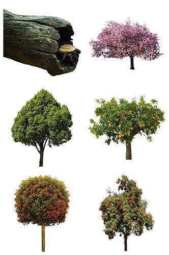 精品树木树叶免抠素材设计