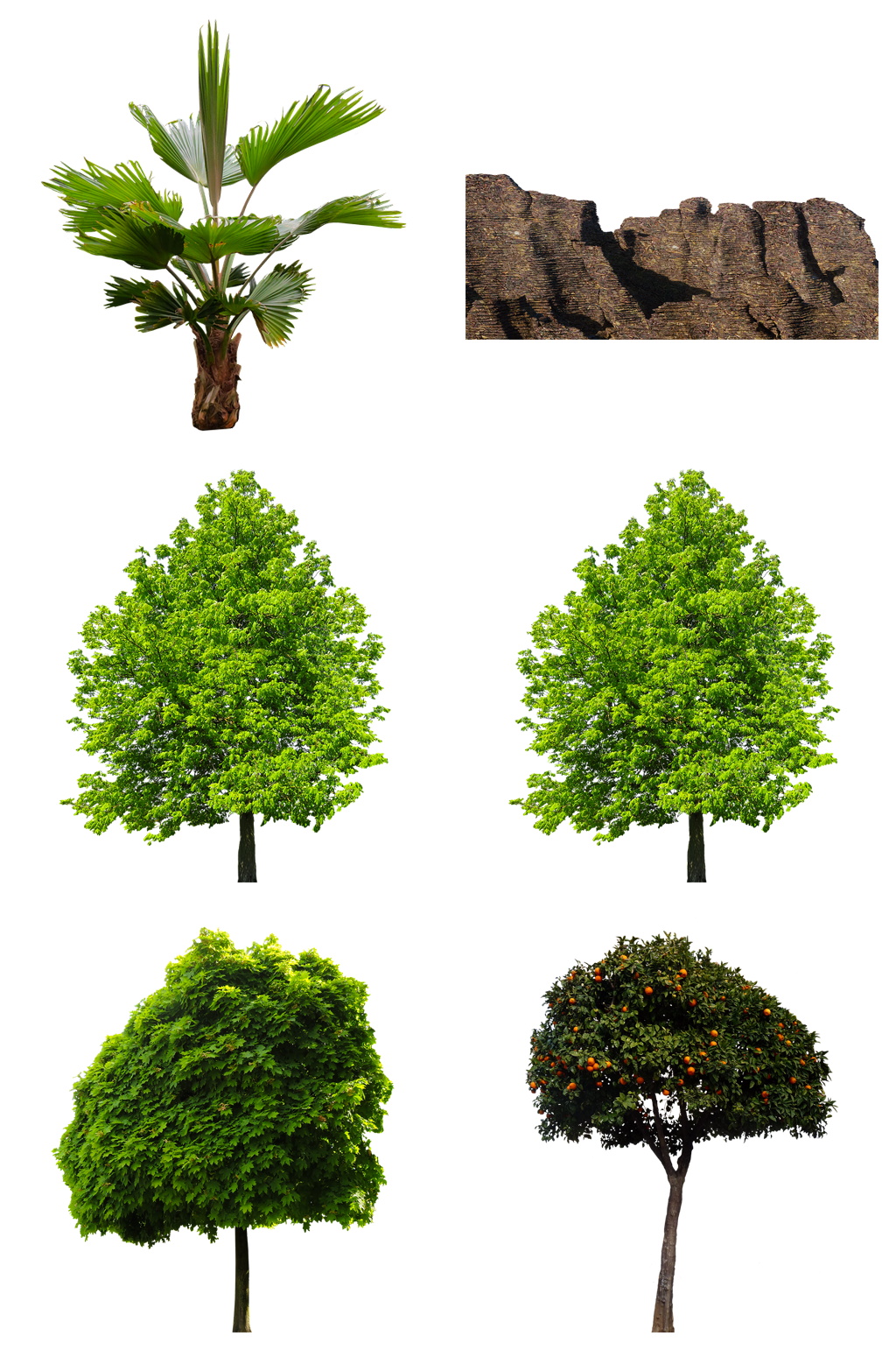 精品树木树枝树叶免抠素材设计素材