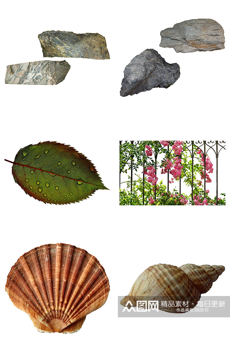精品石头海螺绿叶免抠素材设计素材