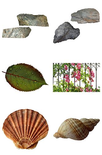 精品石头海螺绿叶免抠素材设计