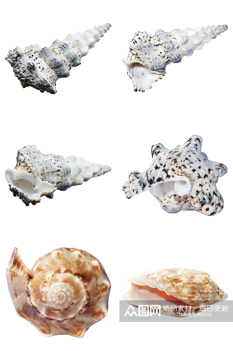 精品海洋生物免抠素材设计素材