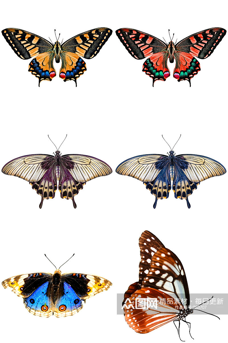 彩色时尚蝴蝶设计素材素材