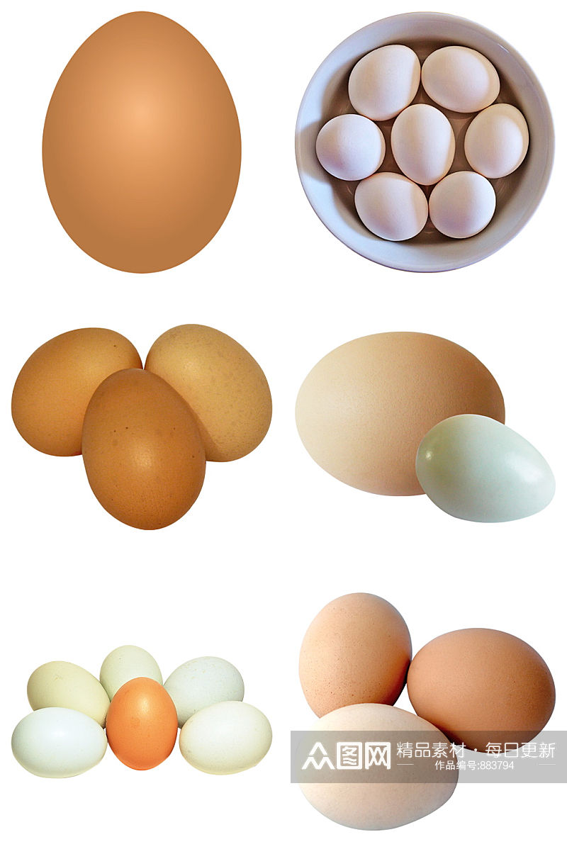 精品鸡蛋免抠素材设计素材