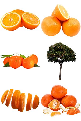 精美橙子橘子设计素材