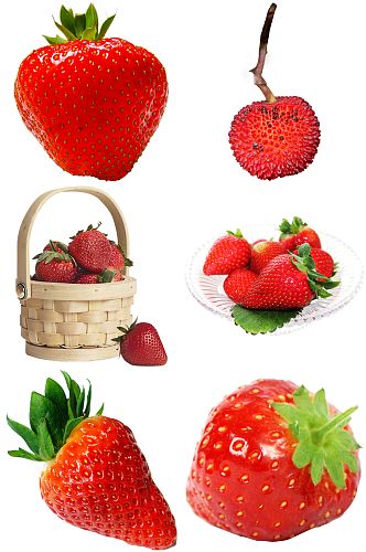 精美草莓水果素材