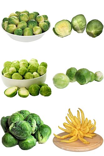 绿色蔬菜包菜设计素材