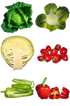 新鲜蔬菜设计素材