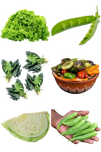 精美蔬菜扁豆设计素材