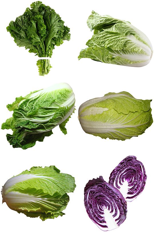 蔬菜白菜包菜设计素材