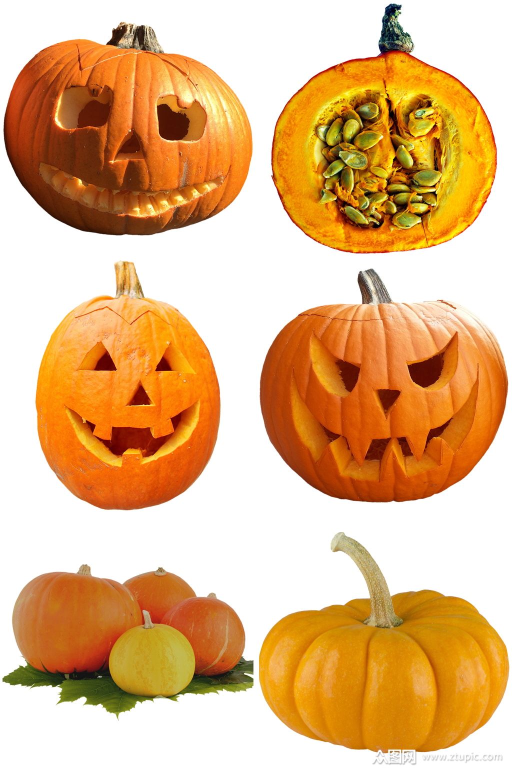 精美南瓜设计素材