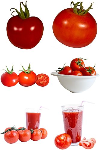 精美西红柿设计素材