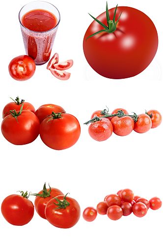 有机蔬菜西红柿设计