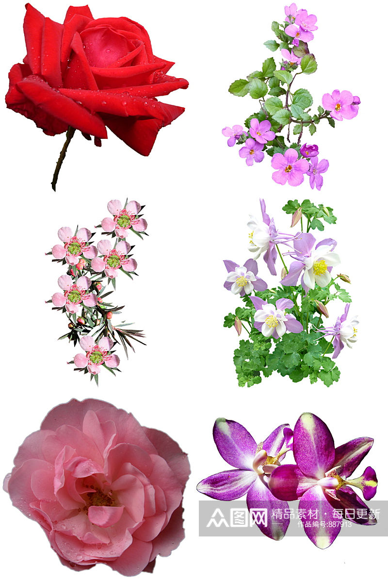 彩色花卉花瓣设计素材素材
