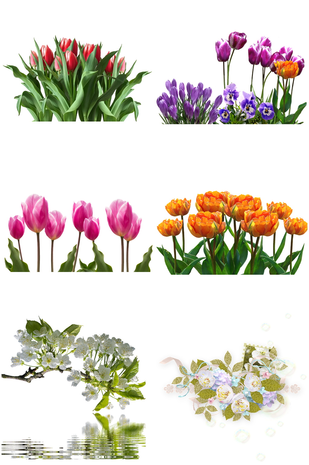花卉花朵花瓣鲜艳艳丽色彩斑斓素材
