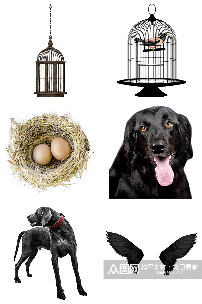 黑狗鸡蛋和鸟笼免扣素材设计素材