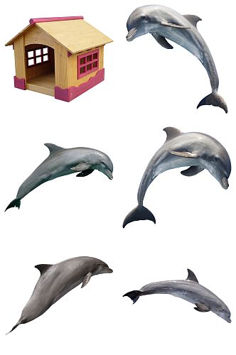 海豚免扣素材设计