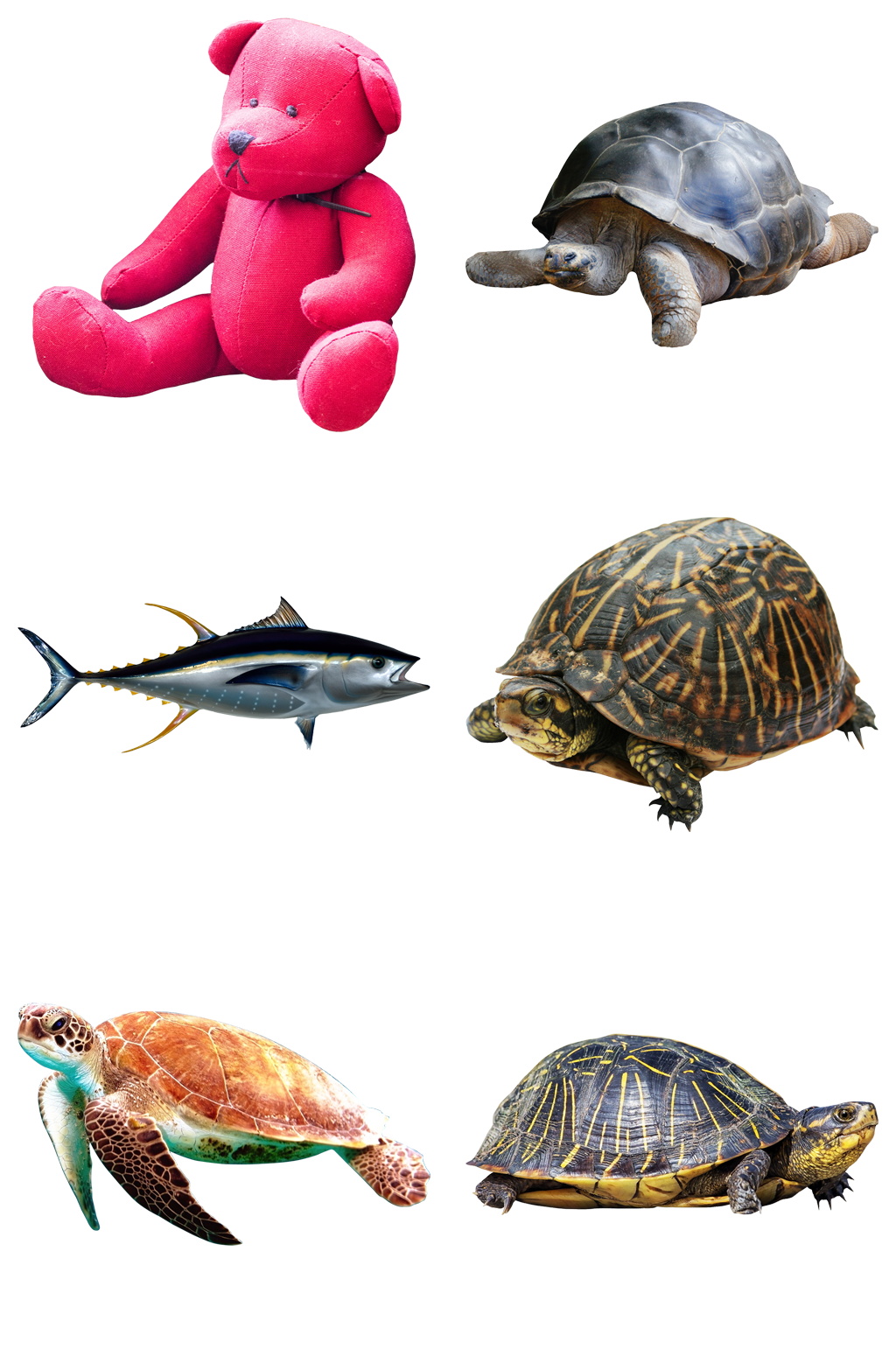 精品海底生物免抠素材设计素材